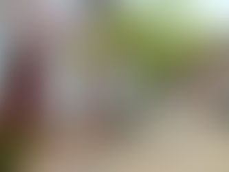 Welcome to Fort Kochi: Turn Back Now