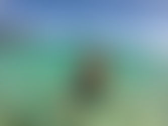 Why you should travel the Philippines NOW