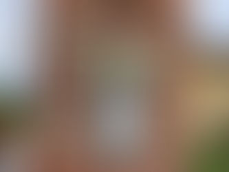 Cascina Lema (1st WWOOF Experience)