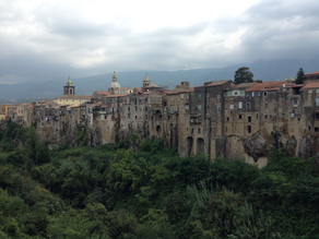 Our 4 Best WWOOF Memories (He says, She says)