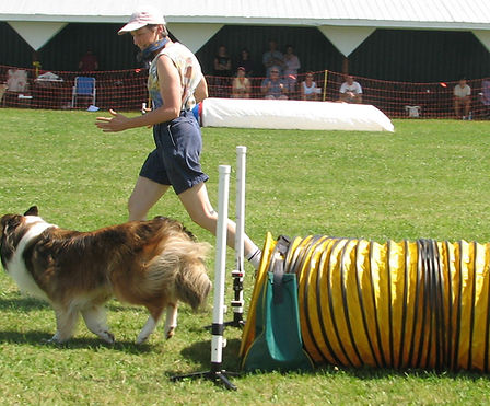 Agility_20060715_74-001.JPG