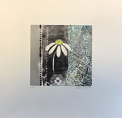 Daisy Diptych II