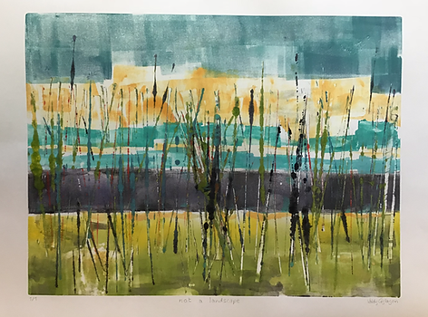not a landscape