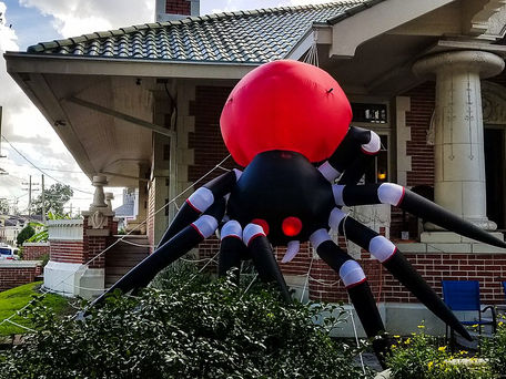Scary spiders and slithery snakes: Why creepy crawlies creep us out