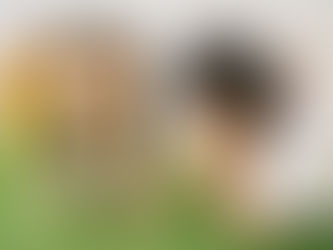 Listen to Your Mother: What Children Learn by Eavesdropping