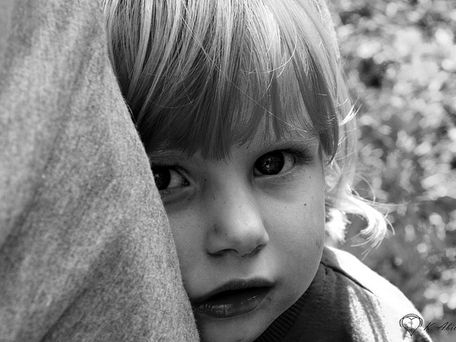 What makes a child shy?