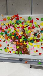 1761538742250 (1).jpg