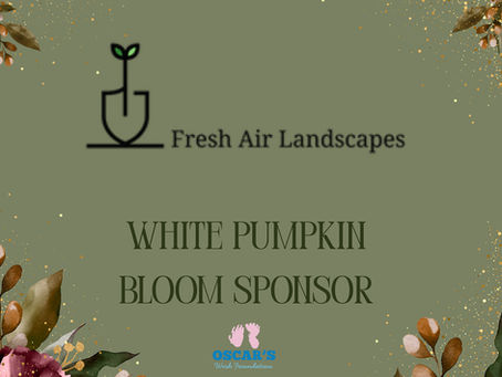 ✨✨ White Pumpkin Bloom Sponsor ✨✨
