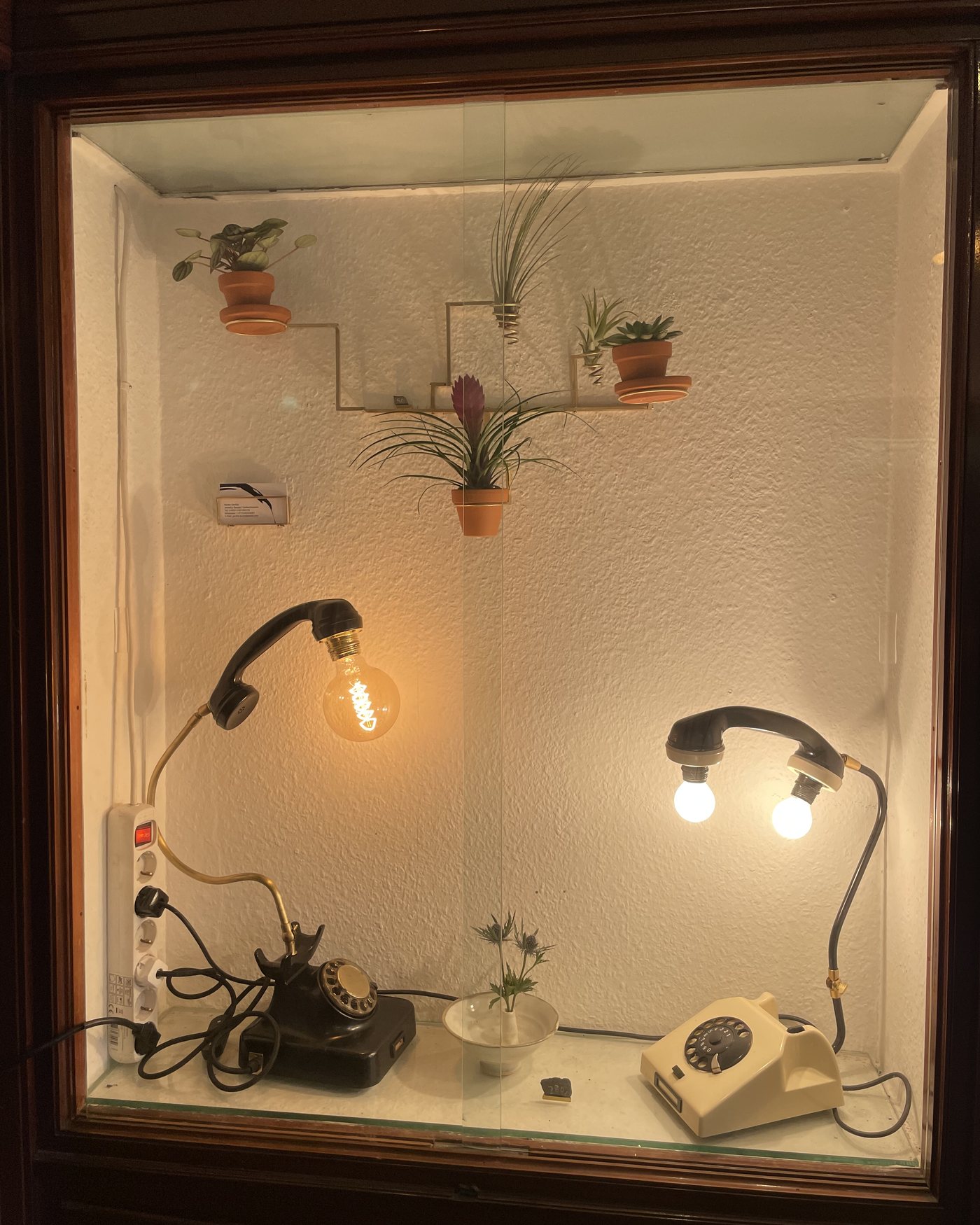 A wood-framed display window with the Black Phone and White Phone lamps lit, and a brass plant holder with small pots on the wall behind