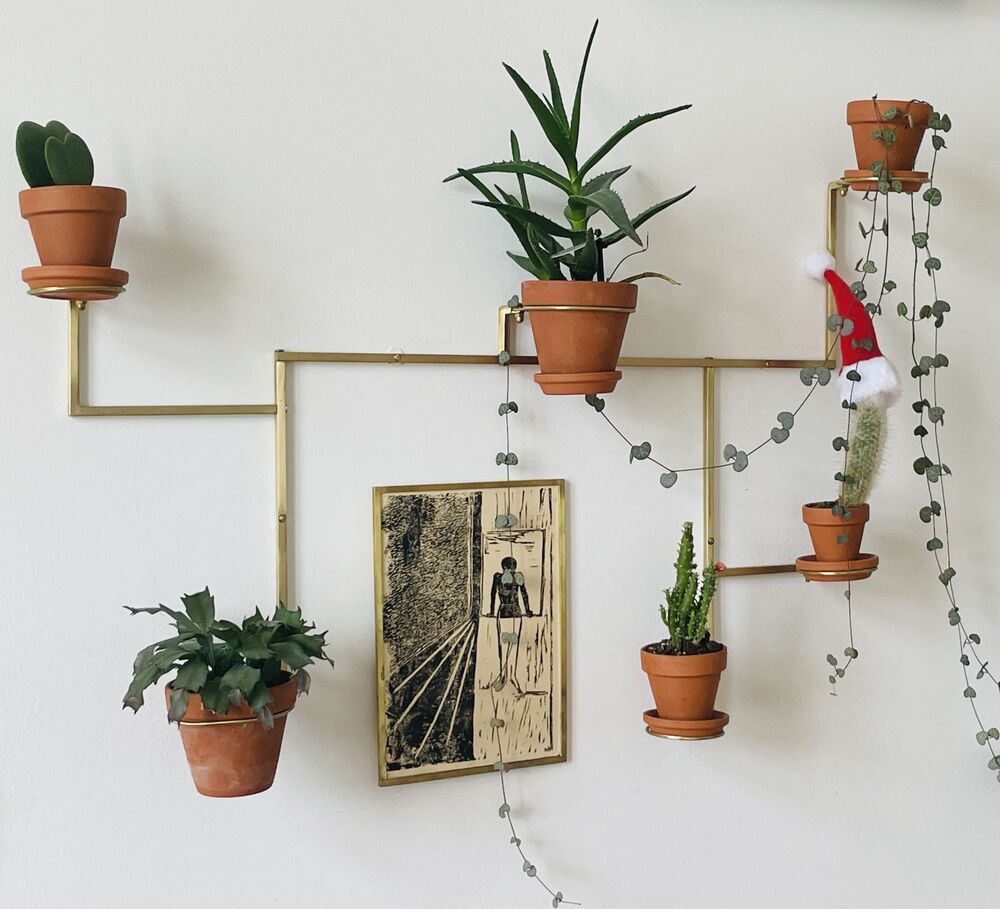 A brass wall plant holder of joined square rods holding small pots of plants on a white wall