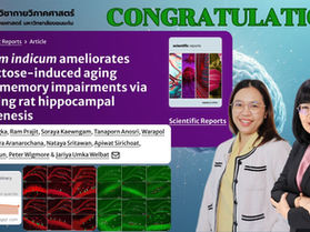 อาจารย์สาขากายวิภาคศาสตร์ได้รับการตีพิมพ์ เรื่อง Oroxylum indicum ameliorates D-galactose-induced aging related memory impairments via enhancing rat hippocampal neurogenesis