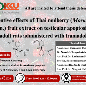 การสอบป้องกันวิทยานิพนธ์ หัวข้อเรื่อง Preventive effects of Thai mulberry (Morus alba Linn.) fruit extract on testicular apoptosis in adult rats administered with tramadol