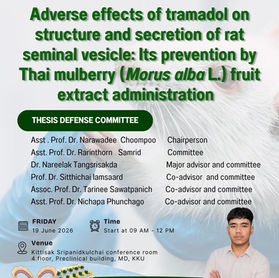 การสอบป้องกันวิทยานิพนธ์ หัวข้อเรื่อง Adverse effects of tramadol on structure and secretion of rat seminal vesicle: Its prevention by Thai mulberry (Morus alba L.) fruit extract administration
