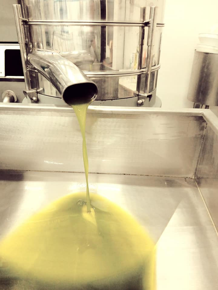 Miniatura: Olio Extravergine d'Oliva EVO