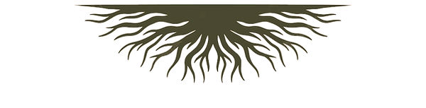 Screenshot 2022-05-17 at 1.54_edited.png