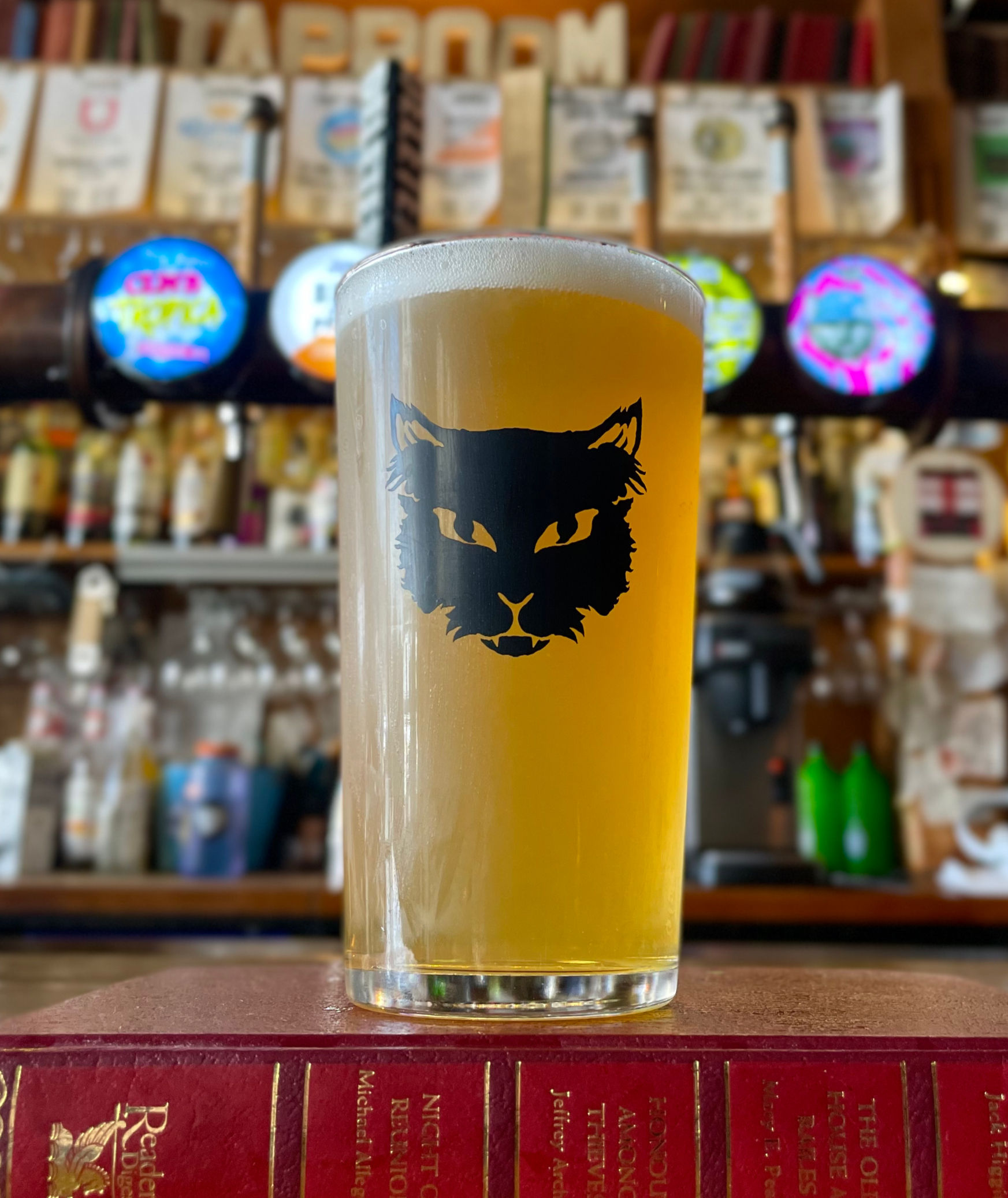 Black Cat Xmas Hamper