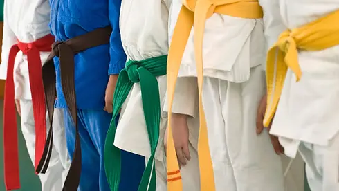 judo belts.webp