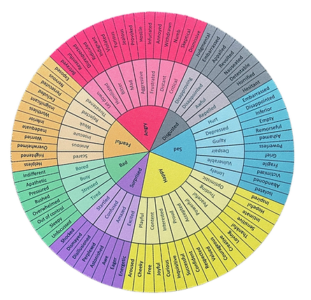 Full Language of Emotions Mat