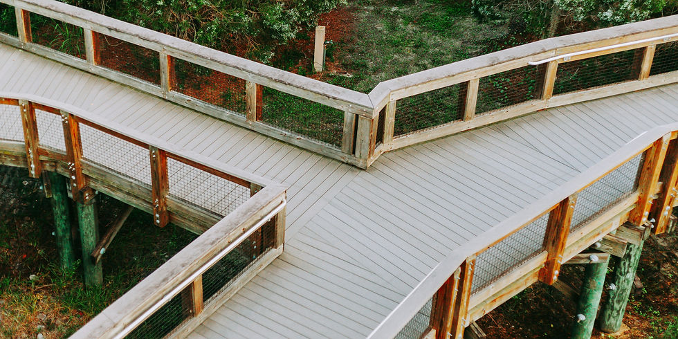 A path going in different directions.