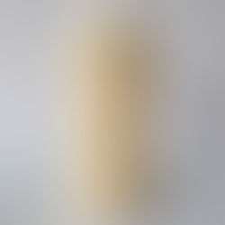 Slosophy Newtinol Toner Review