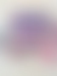 a lay flat of Korean makeup