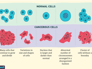 Introduction to Cancer