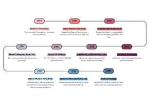 A Hundred Years of Stem Cell Research