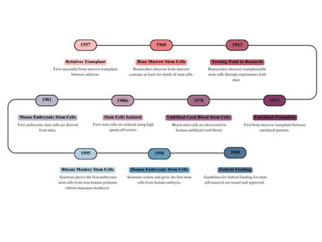 A Hundred Years of Stem Cell Research