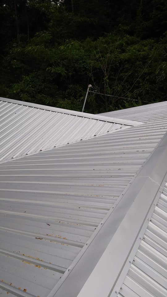 54257877_2402146243149144_2612909922219720704_n (1)