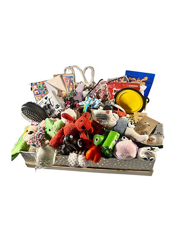 Dog Themed Mystery Boxes.jpg