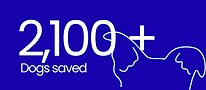 dogs saved.png