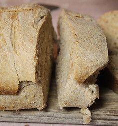 In-Store Food Sampling