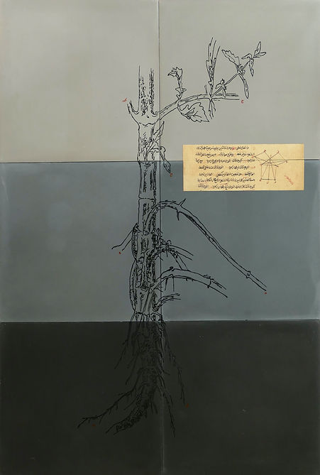 Ombre_des_racines_Série_2,_8_20 copie.jpg