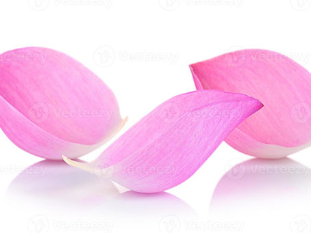 The three petals of August written by Michael A Gomez
August 2, 2005