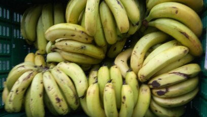 Feira de Orgânicos