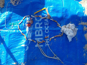 Plastic fishing on Fish Hoek Beach - March edition