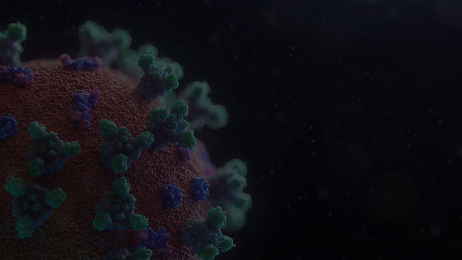 New visualisation of the Covid-19 virus_edited.jpg