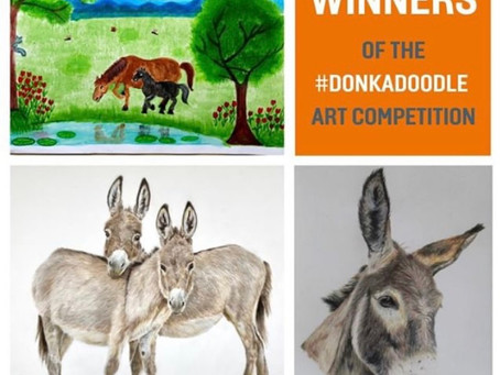 Donkadoodle!