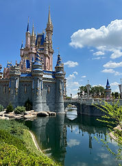 [Cinderella's Castle] Side View (1).jpg