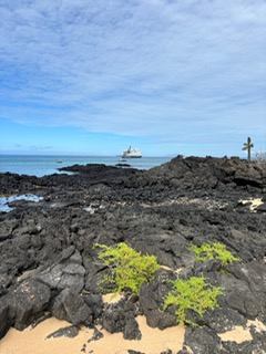 Galapagos wildlife
