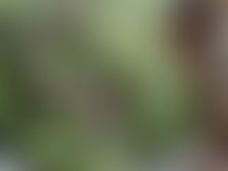 Healthy Greek Yogurt Broccoli Salad