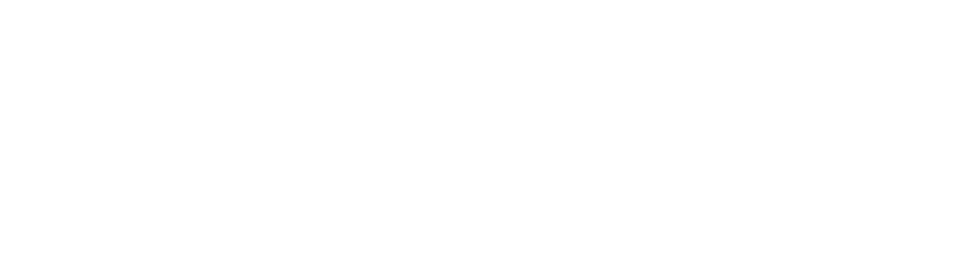 Logo Zoom