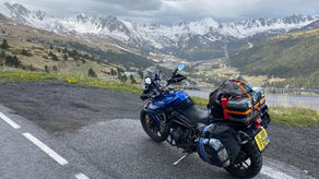 Knobbly Pyrenees....