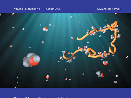 Publication Report