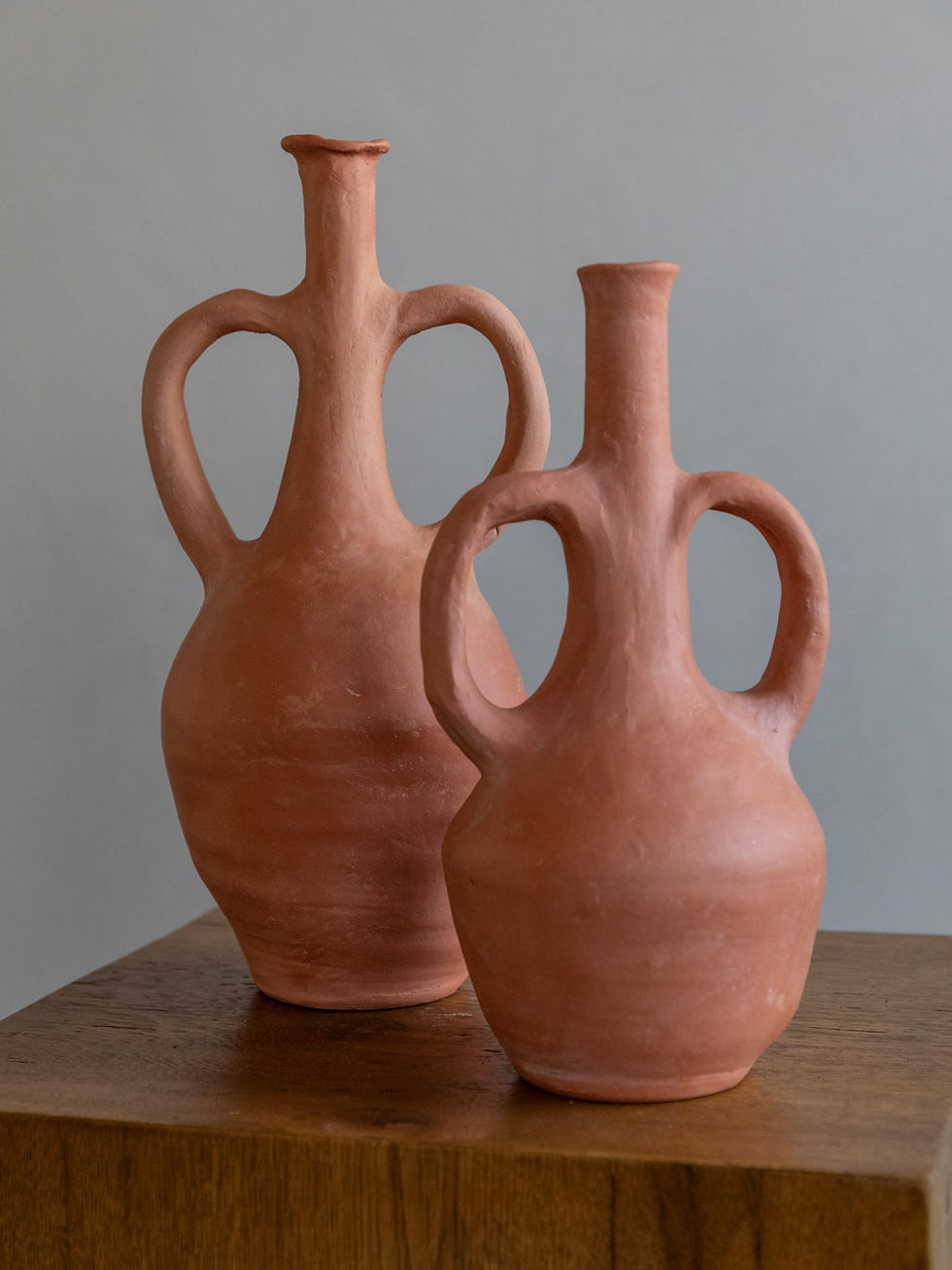 Thumbnail: Large Terracotta Vase 02