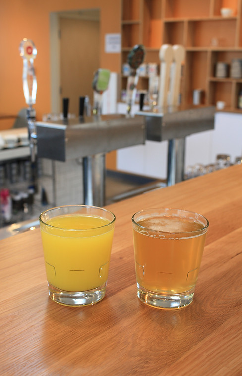 Best Kombucha Denver (Kombucha)