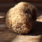 Thumbnail: Caribbean Wool Sea Sponge 3.5-4.5" – Gentle Care for Face & Neck