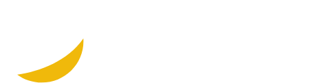 BscScan-logo-light.webp