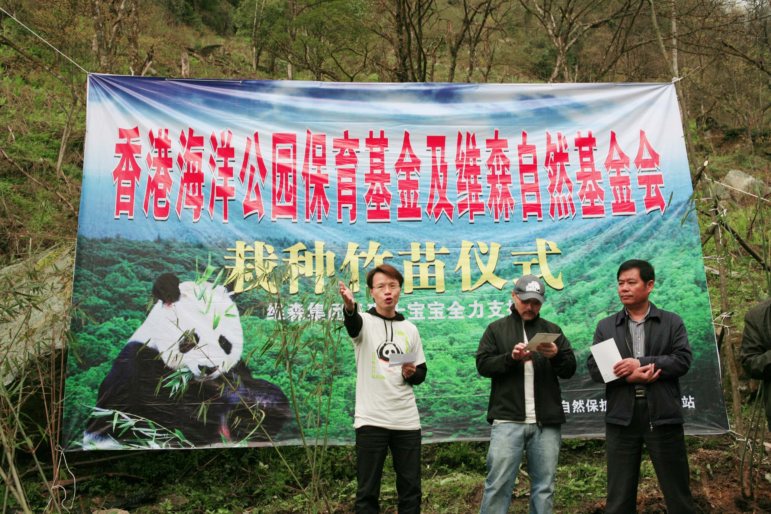 栽種竹苗
