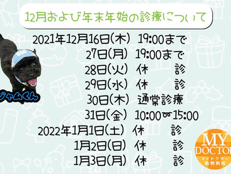 ～12月及び年末年始の診療について～